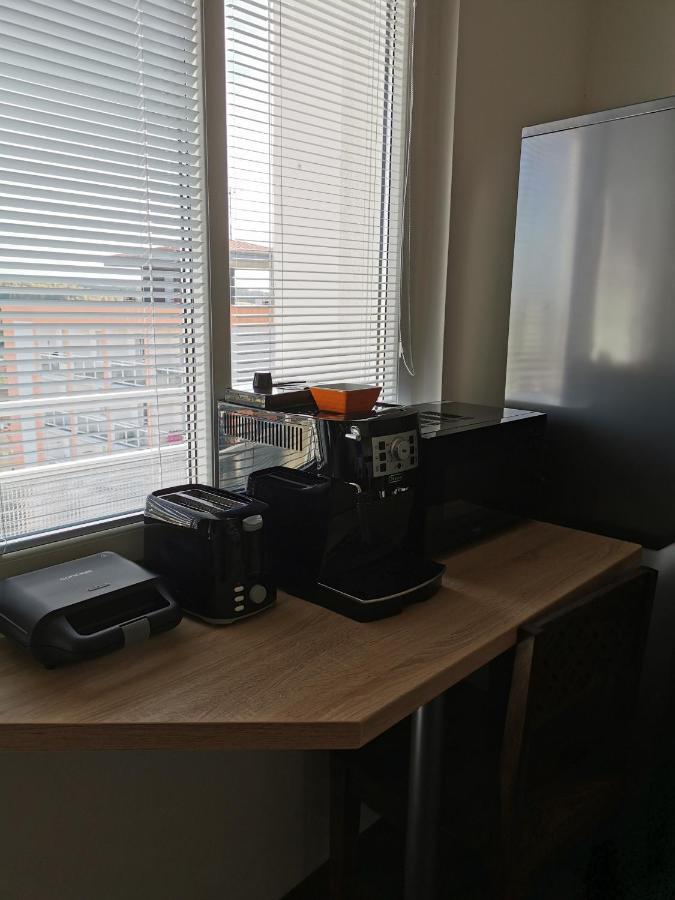 - 1+1 Apartment Slany